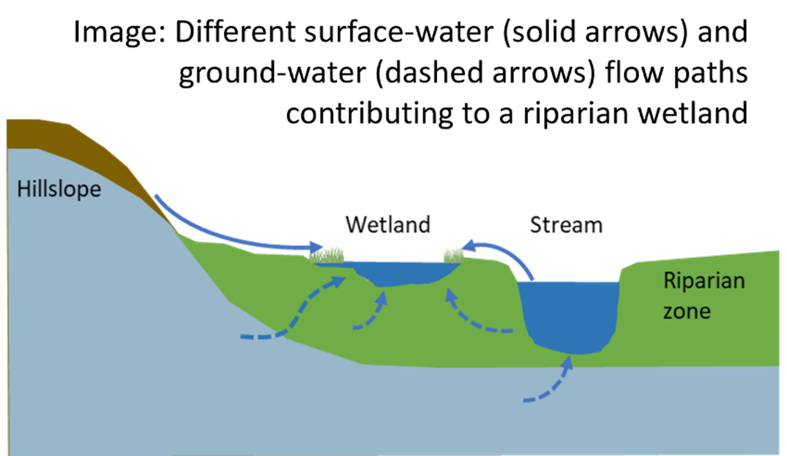 Schematic of buffer wetlands