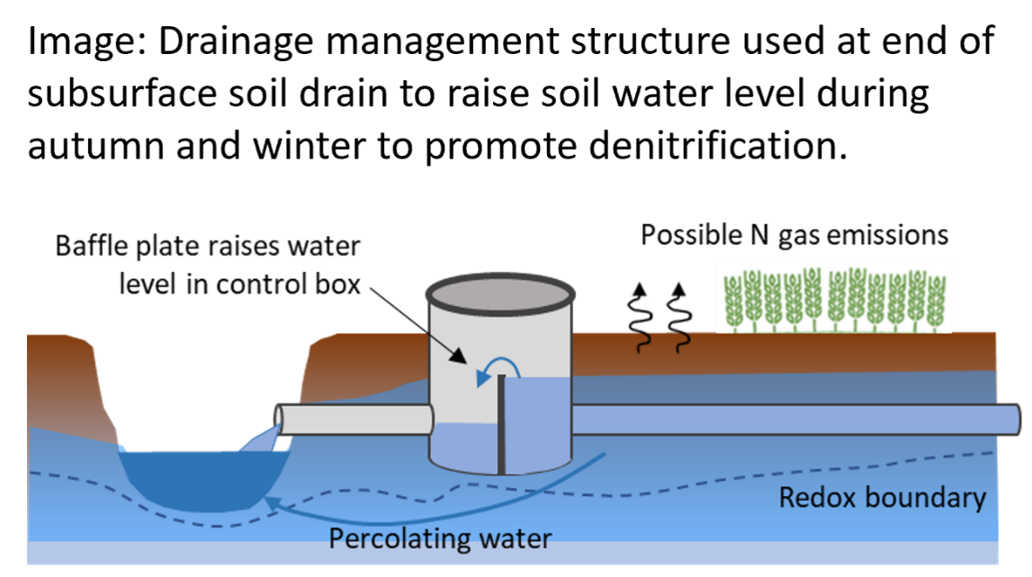 Schematic of Controlled Drainage