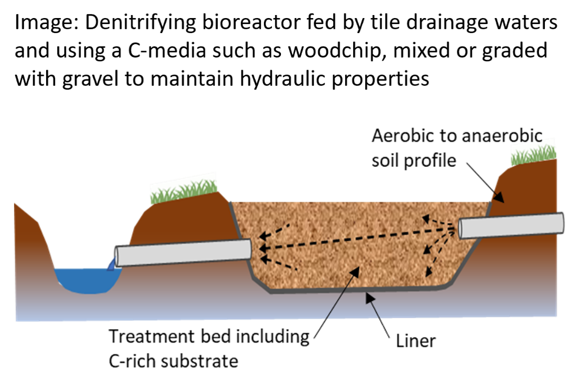Schematic of denitrifying bioreactor