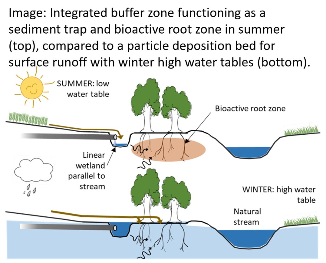 Schematic of Integrated Buffer Zone