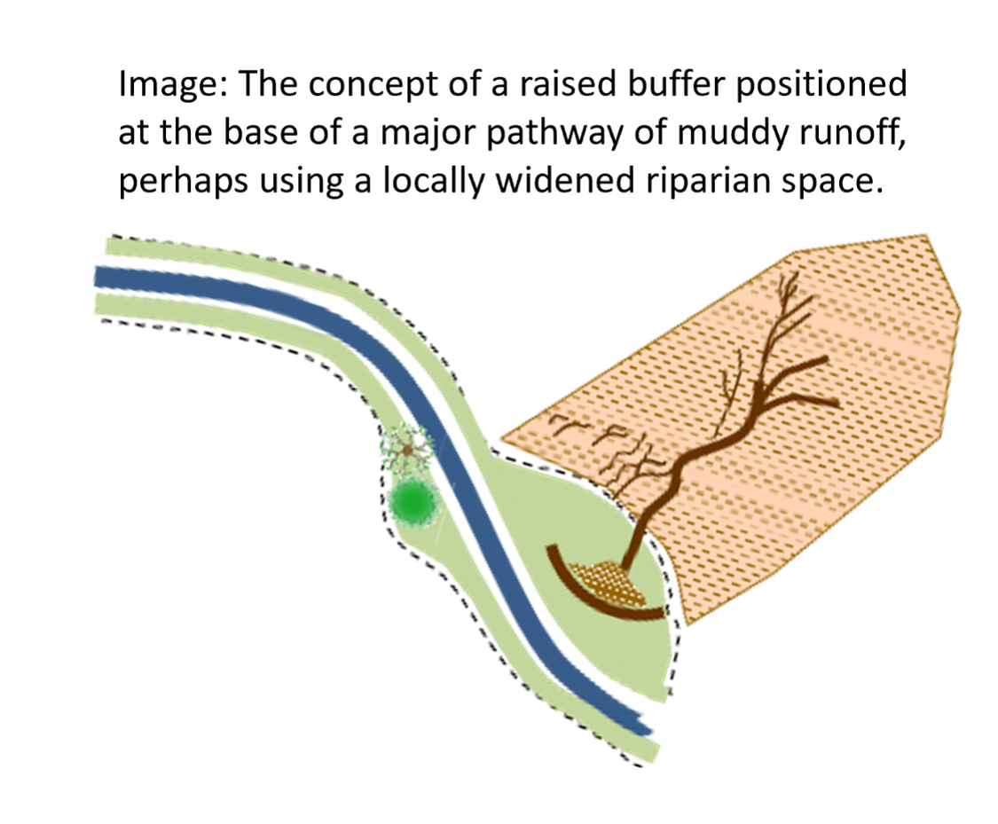 Schematic of raised buffer - field runoff