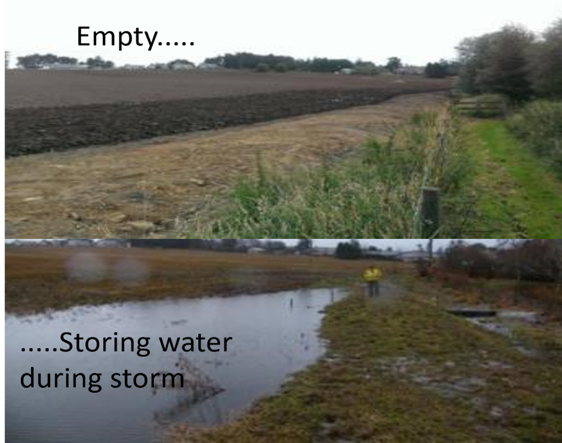 Photo of raised buffer - field runoff