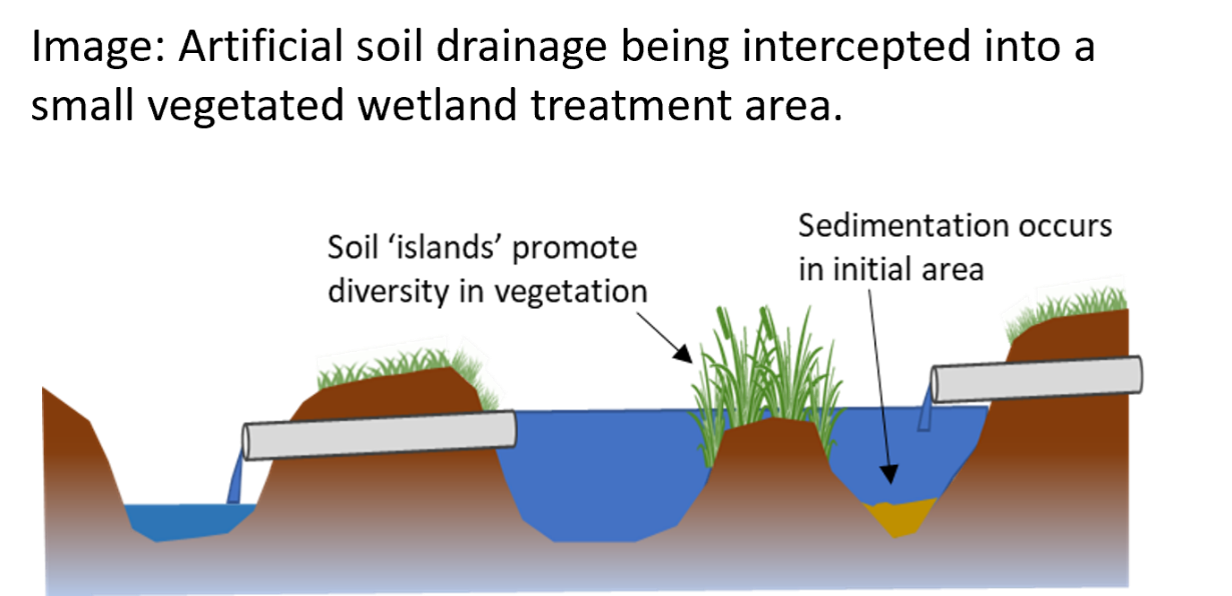 Schematic of tile drainaing