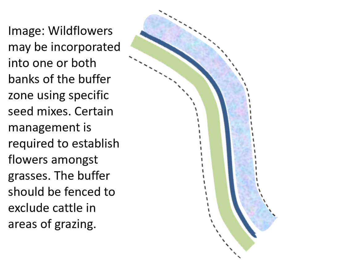 Schematic of watercourse buffer strip