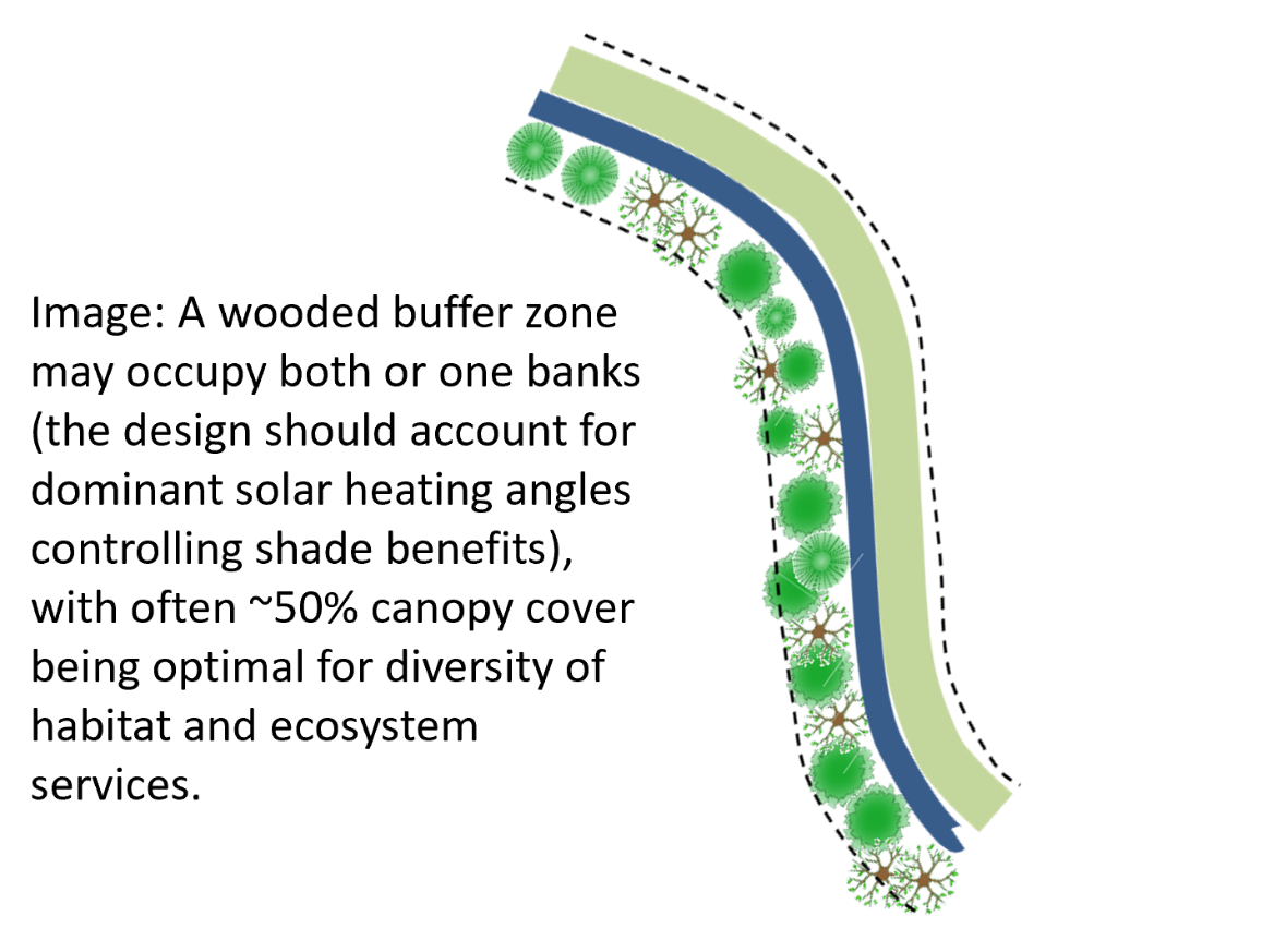 Schematic of wooded buffer strip